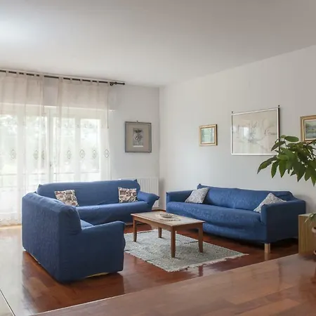 La Cicala
